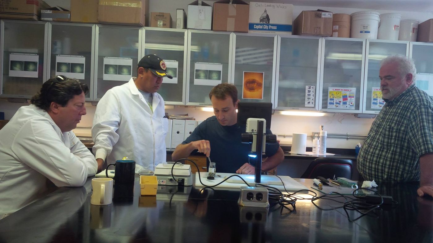 Lab team examining samples