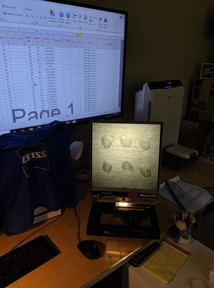 Microscope workstation