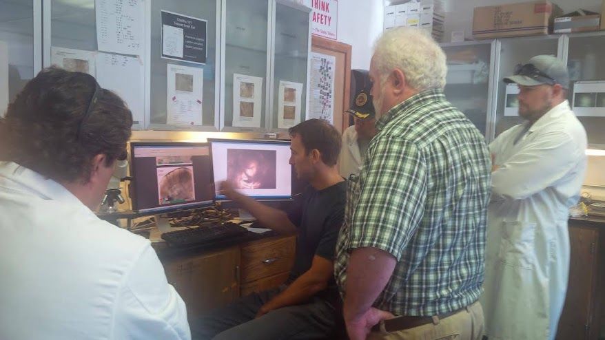 Team reviewing images