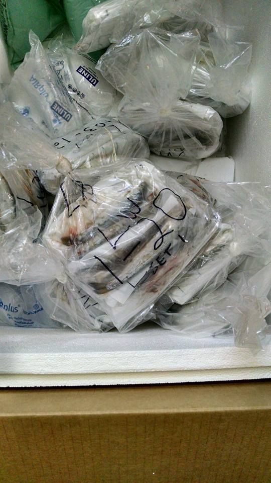 Sample storage
